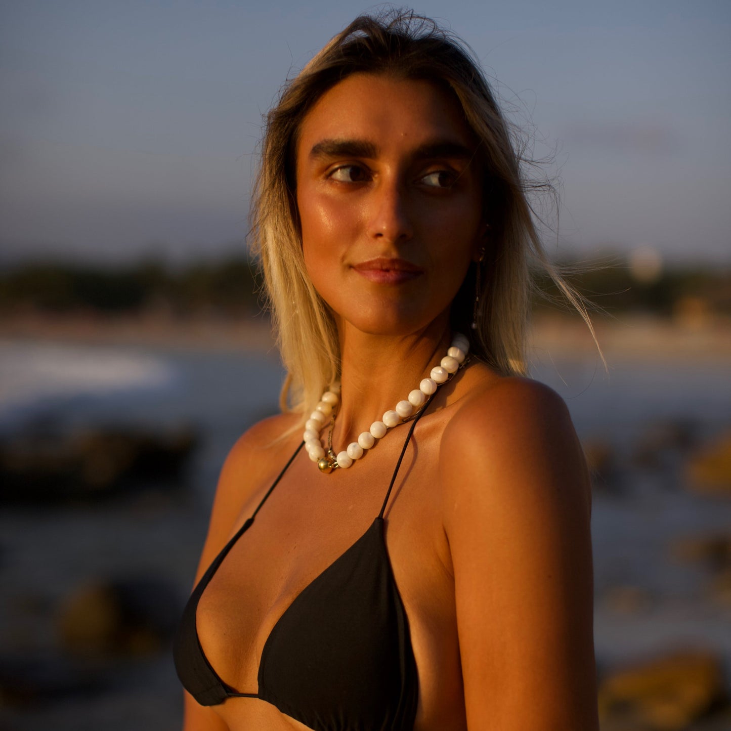 Big Concha de Trochus